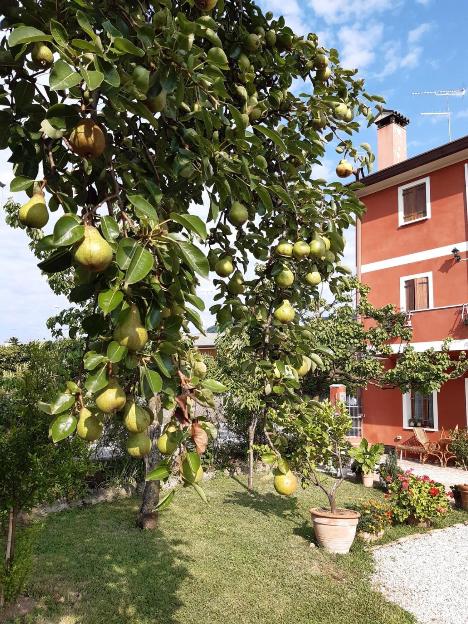 B&B Casa Del Conte Soligo Ngoại thất bức ảnh